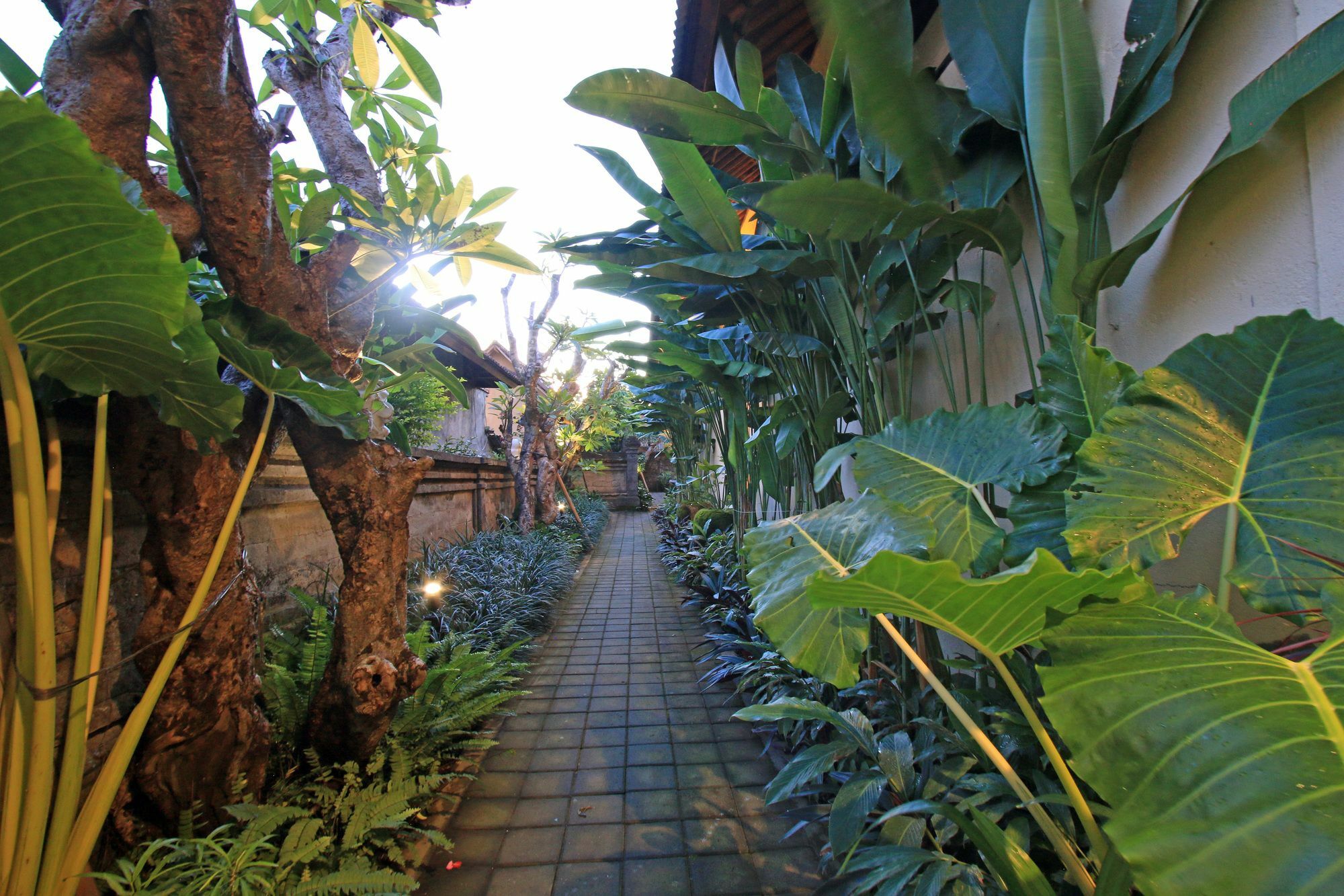 Arnawa Bungalow Hotel Ubud  Exterior photo